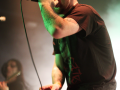 Opinicus