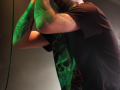 Opinicus