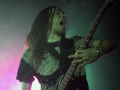 Opinicus