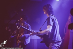 Blue Elephant