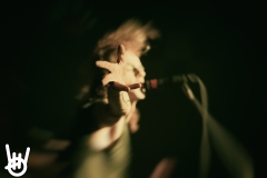 Jan Doyle Band