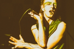 Jan Doyle Band