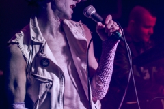 Jan Doyle Band