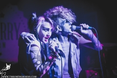 Jan Doyle Band