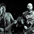 Deadblondestars