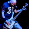 Deadblondestars